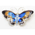 David Andersen Norway XL Gilt sterling silver enamel Butterfly Brooch 1940s, view 1 of 8