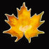 Hroar Prydz Jewelry Jens E Jensen Hroar Prydz Norway Sterling Enamel Maple Leaf Brooch 1920s