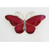 Hestenes Jewelry VERY RARE Hestenes Norway Sterling & Enamel HUGE Butterfly Brooch 1930s