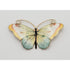 Hjortdahl Jewelry RARE 925S Enamel Hjortdahl Norway MASSIVE Butterfly Brooch Circa 1931-1954