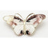 Tina Oxager Denmark Jewelry Rare Danish Designer Tina Oxager Sterling Enamel Butterfly Brooch Pendant 1992